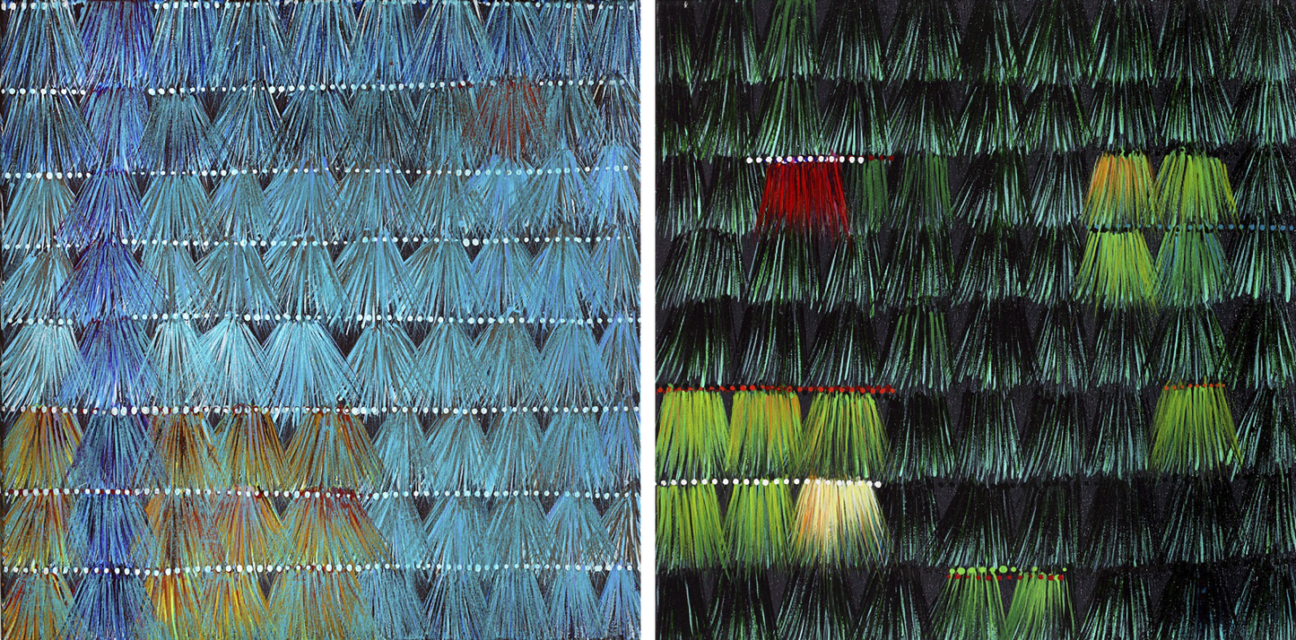 Fotografia fine art em close das asas de borboleta, destacando cores e padrões inspirados em Plumária Díptica de Ana Aly, com referência à arte plumária indígena. Ana Aly.