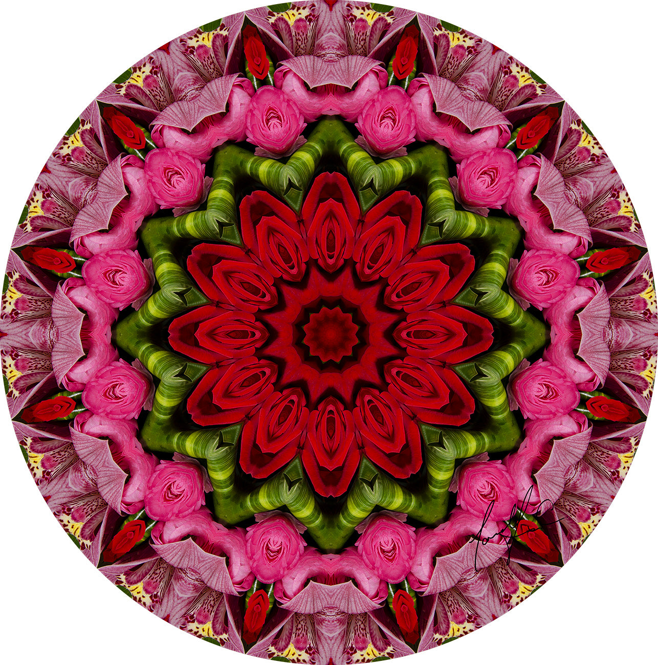 Cairolela